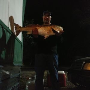 Meet your Posher, Genaro